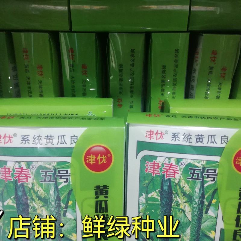 津春五号春秋露地黄瓜优良品种肉质脆，口感好。