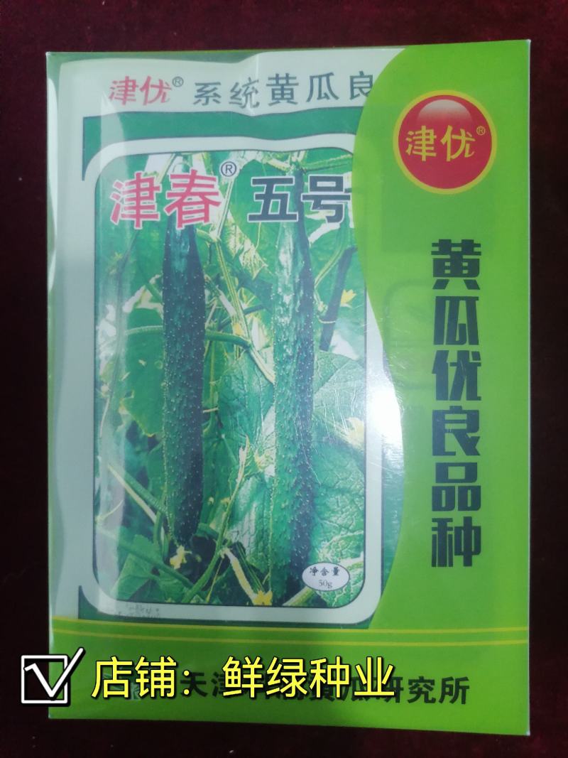 津春五号春秋露地黄瓜优良品种肉质脆，口感好。