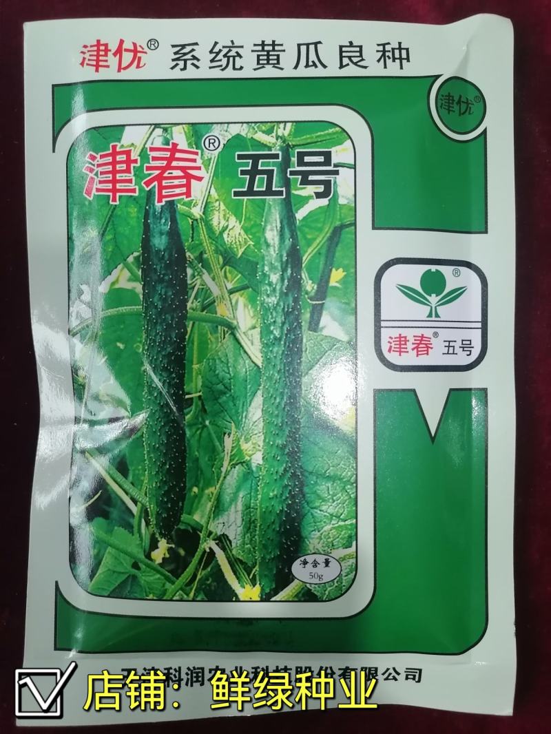 津春五号春秋露地黄瓜优良品种肉质脆，口感好。