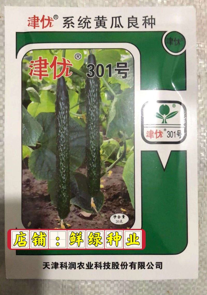 津春五号春秋露地黄瓜优良品种肉质脆，口感好。