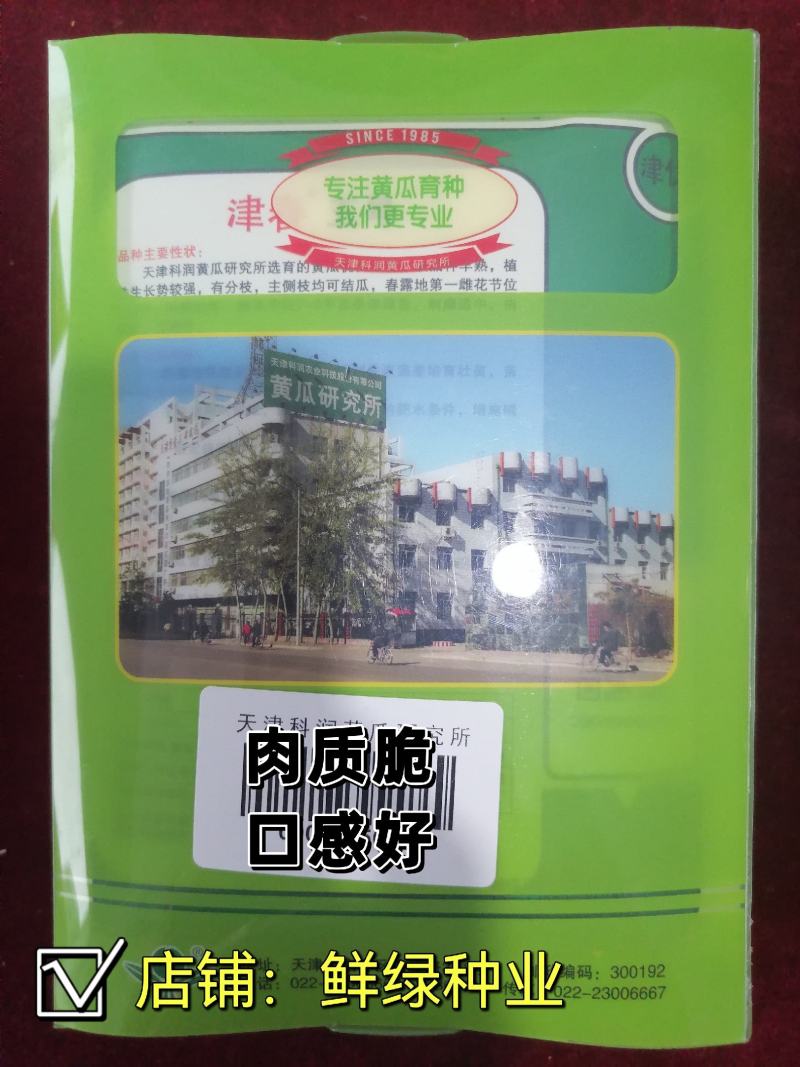 津春五号春秋露地黄瓜优良品种肉质脆，口感好。