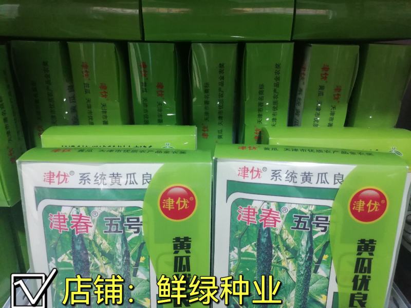 津春五号春秋露地黄瓜优良品种肉质脆，口感好。