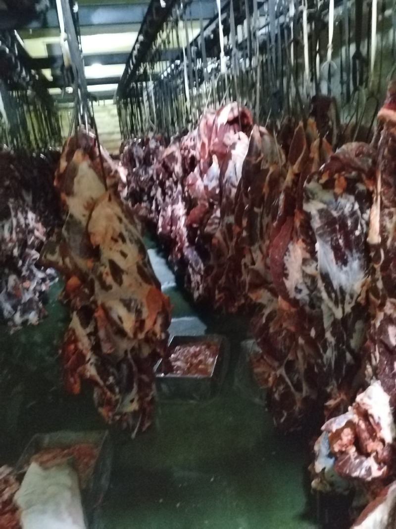 纯干后腿肉
