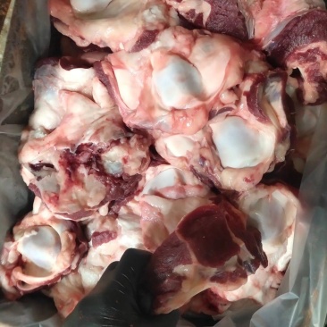 国产纯干多肉牛窝骨