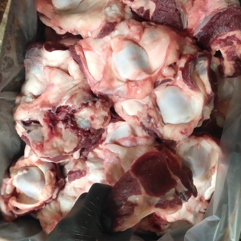 国产纯干多肉牛窝骨