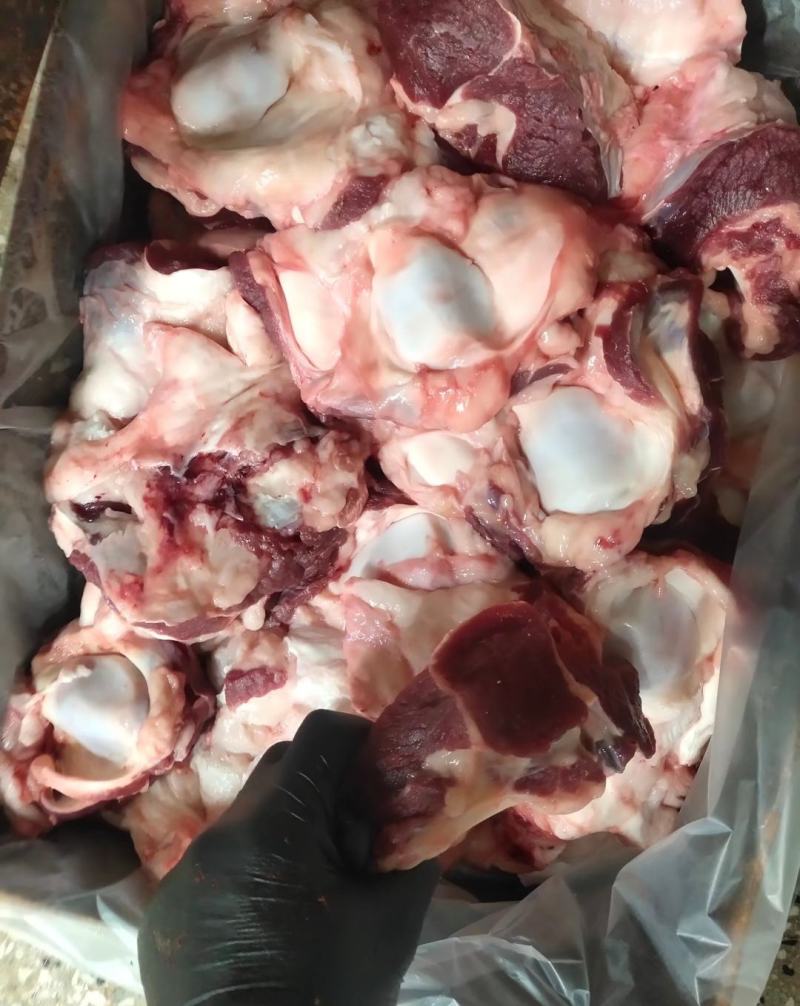 国产纯干多肉牛窝骨
