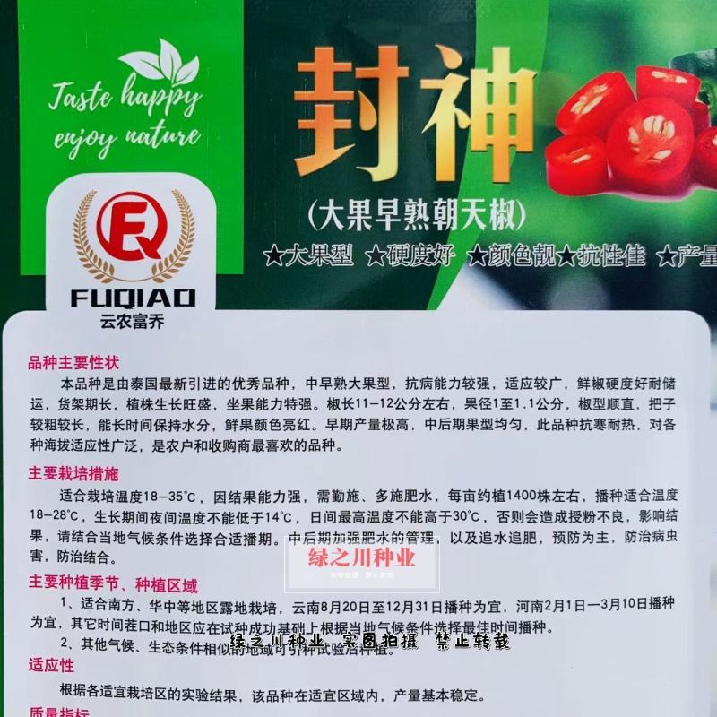 泰国进口大果中早熟朝天椒种子封神朝天椒辣椒种子果色亮红