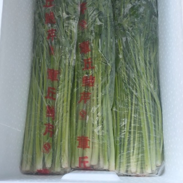 章丘鲍芹