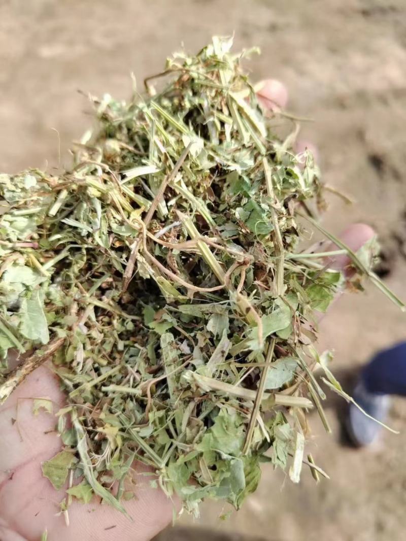 新花生秧细粉，草段，鸡鸭鹅饲料，牛羊驴马优质草料，质量保