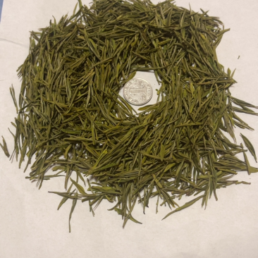 安吉白茶