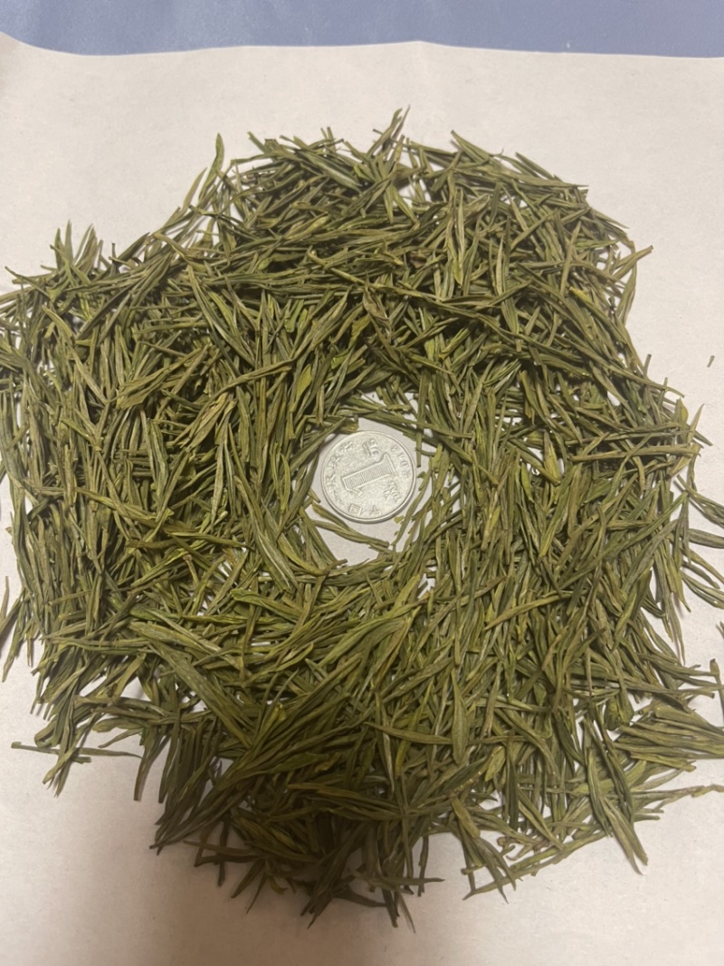 安吉白茶