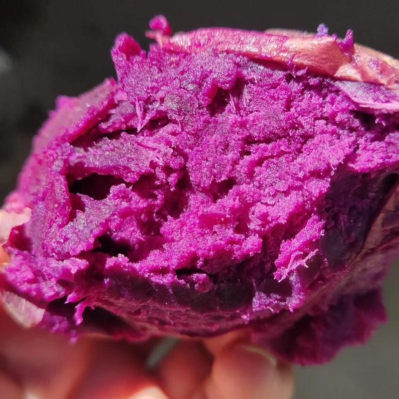 紫薯紫罗兰，沙土山岭地，口感香甜软糯