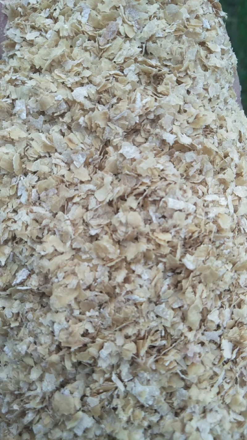【牛商推荐】大片麦麸，蛋白含量好膳食纤维高，营养成分好