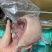 熟牛头肉切块质量保证证件齐全厂家直供欢迎联系