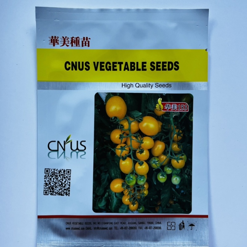 华美种苗多美小番茄种子品种杂交一代红果品种种子