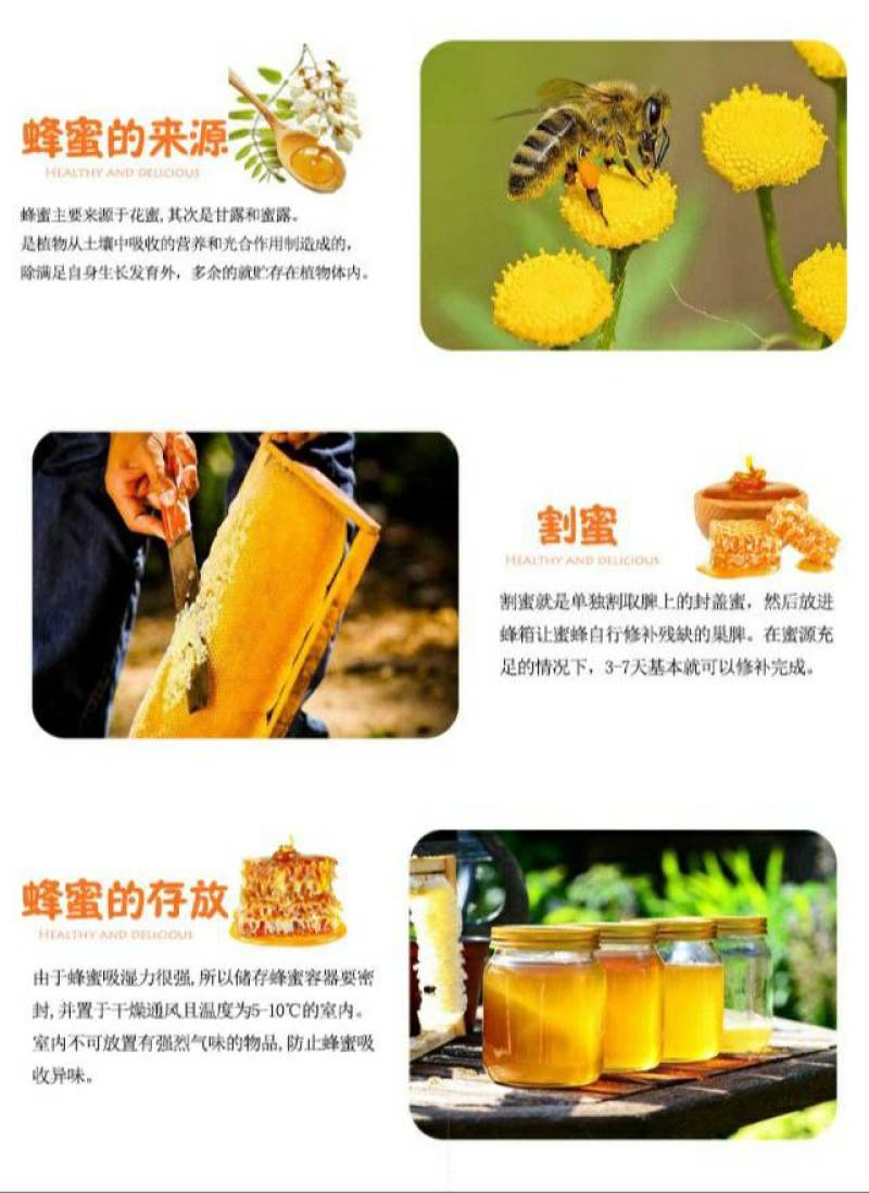 贵州六枝岩蜂蜜