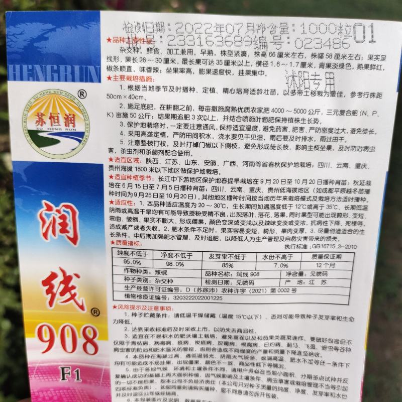 润线908长线辣椒种子早中熟特大辣椒农家大田高产线椒种