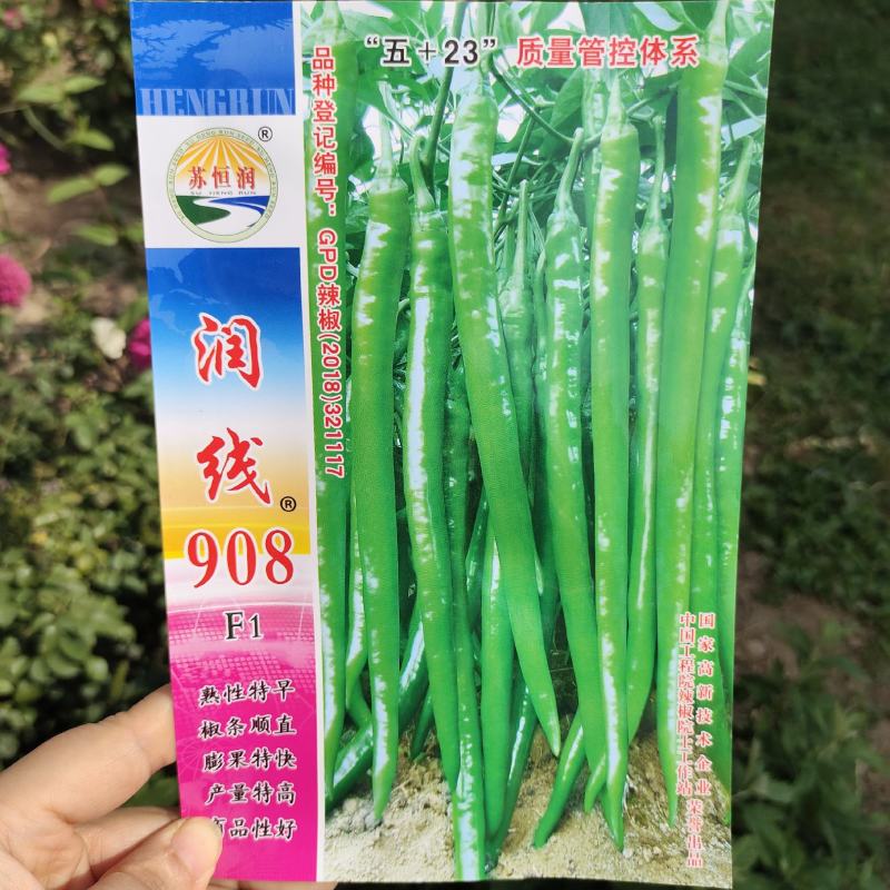 润线908长线辣椒种子早中熟特大辣椒农家大田高产线椒种