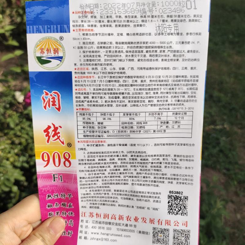 润线908长线辣椒种子早中熟特大辣椒农家大田高产线椒种