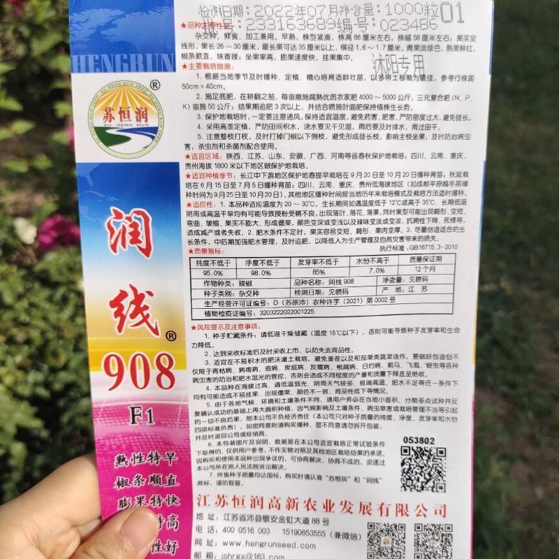 润线908长线辣椒种子早中熟特大辣椒农家大田高产线椒种