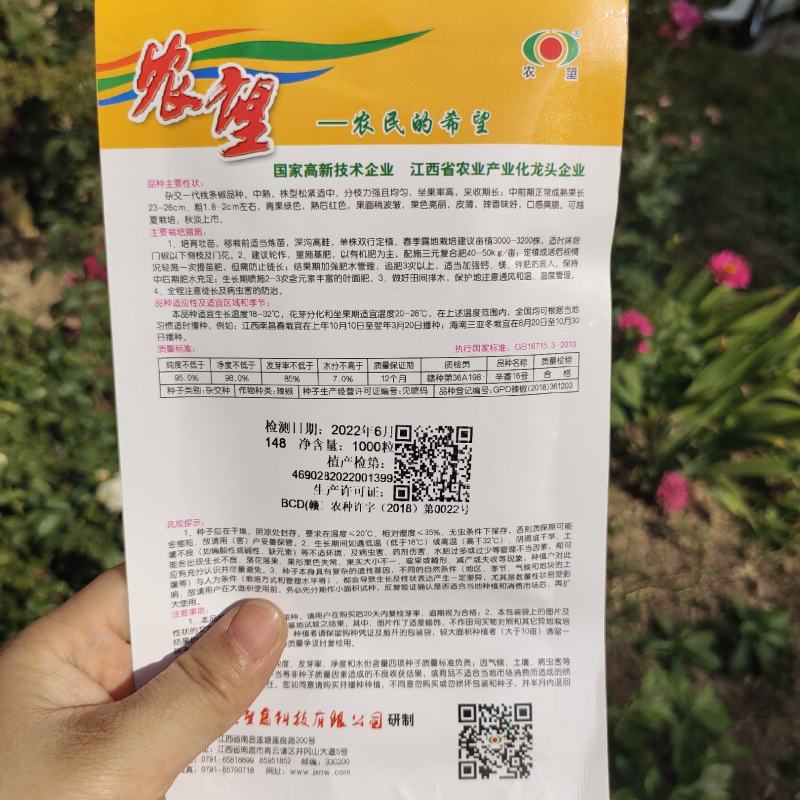 农望辛香16线椒种子中早熟皮薄肉厚味辣辣椒种子线椒种子