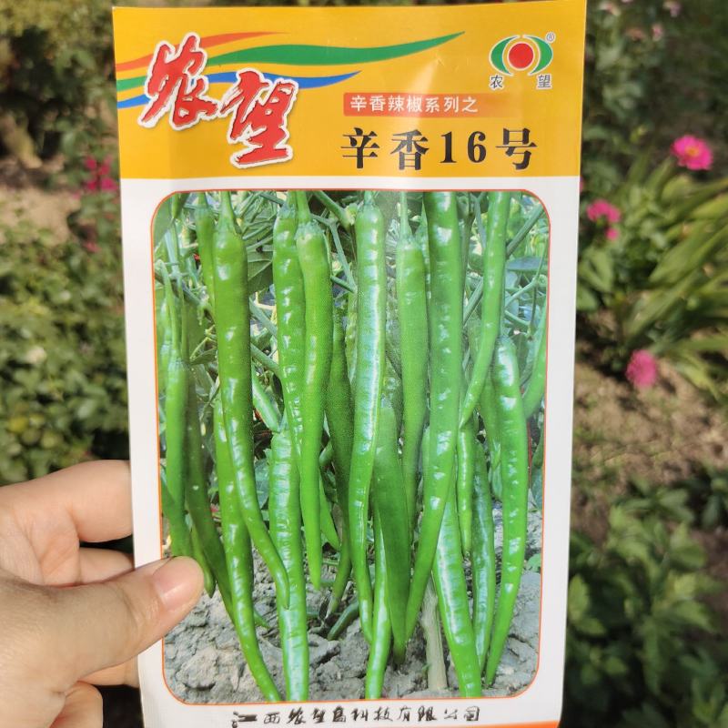 农望辛香16线椒种子中早熟皮薄肉厚味辣辣椒种子线椒种子