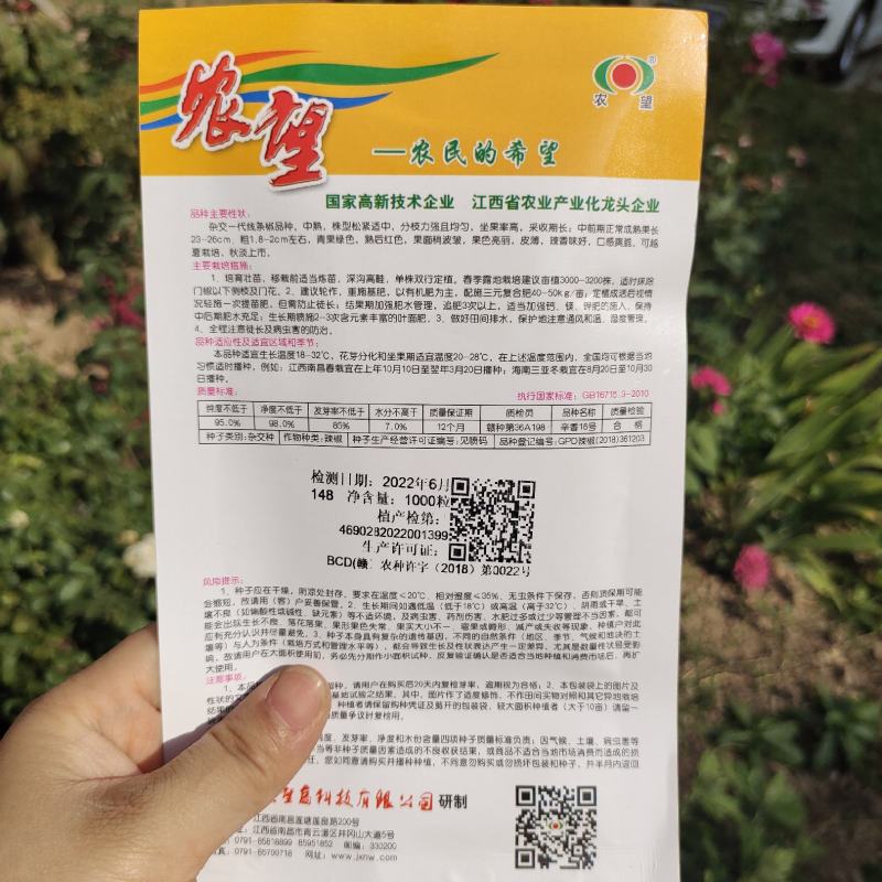 农望辛香16线椒种子中早熟皮薄肉厚味辣辣椒种子线椒种子