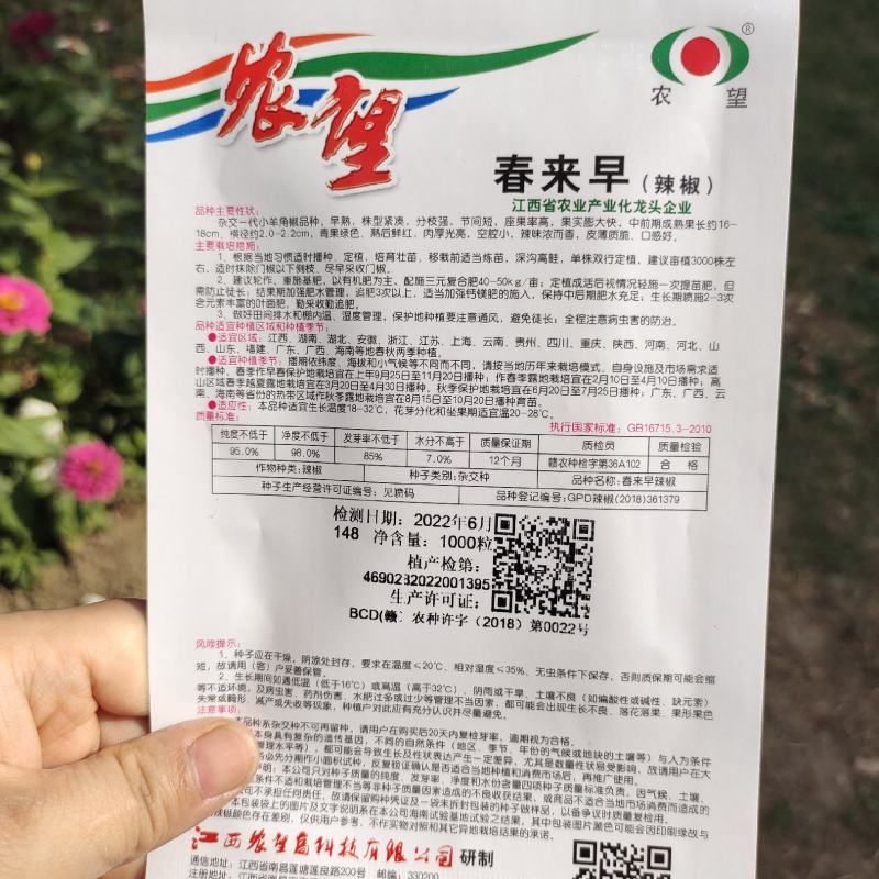 农望辛香16线椒种子中早熟皮薄肉厚味辣辣椒种子线椒种子