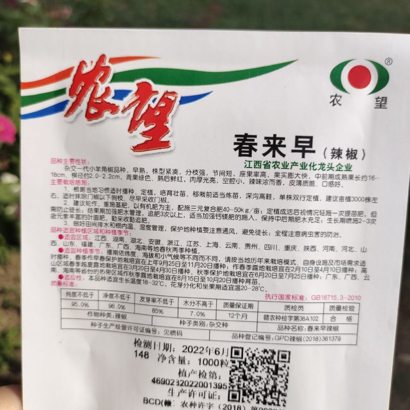 农望辛香16线椒种子中早熟皮薄肉厚味辣辣椒种子线椒种子