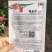 农望辛香16线椒种子中早熟皮薄肉厚味辣辣椒种子线椒种子