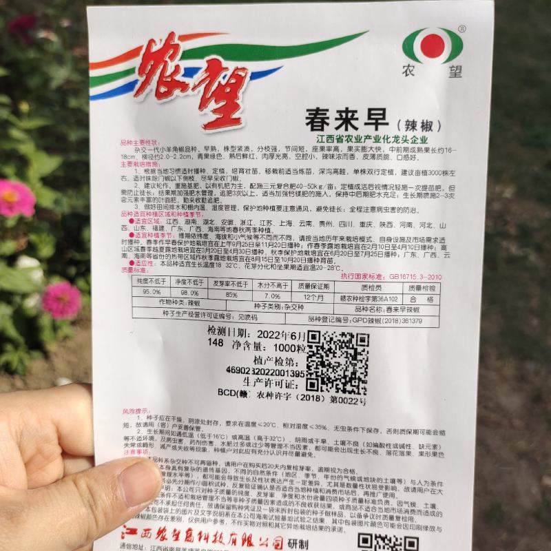 农望辛香16线椒种子中早熟皮薄肉厚味辣辣椒种子线椒种子