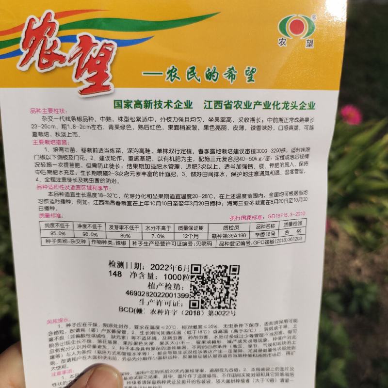 农望辛香16线椒种子中早熟皮薄肉厚味辣辣椒种子线椒种子