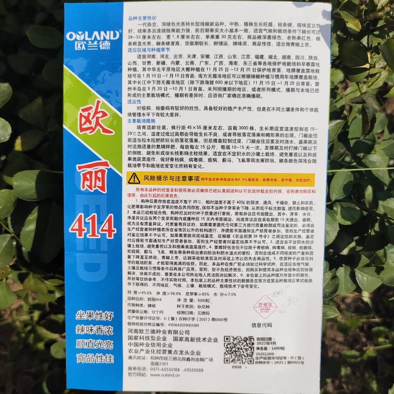 杭椒种子早熟一代杂交辣椒种子欧丽114长线椒种子线椒种子