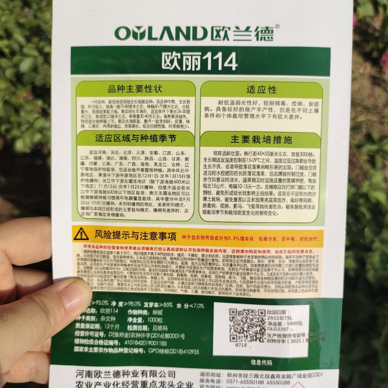 杭椒种子早熟一代杂交辣椒种子欧丽114长线椒种子线椒种子