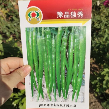 农望豫品独秀辣椒种子杂交长线椒种籽早熟青红两用味辣春秋