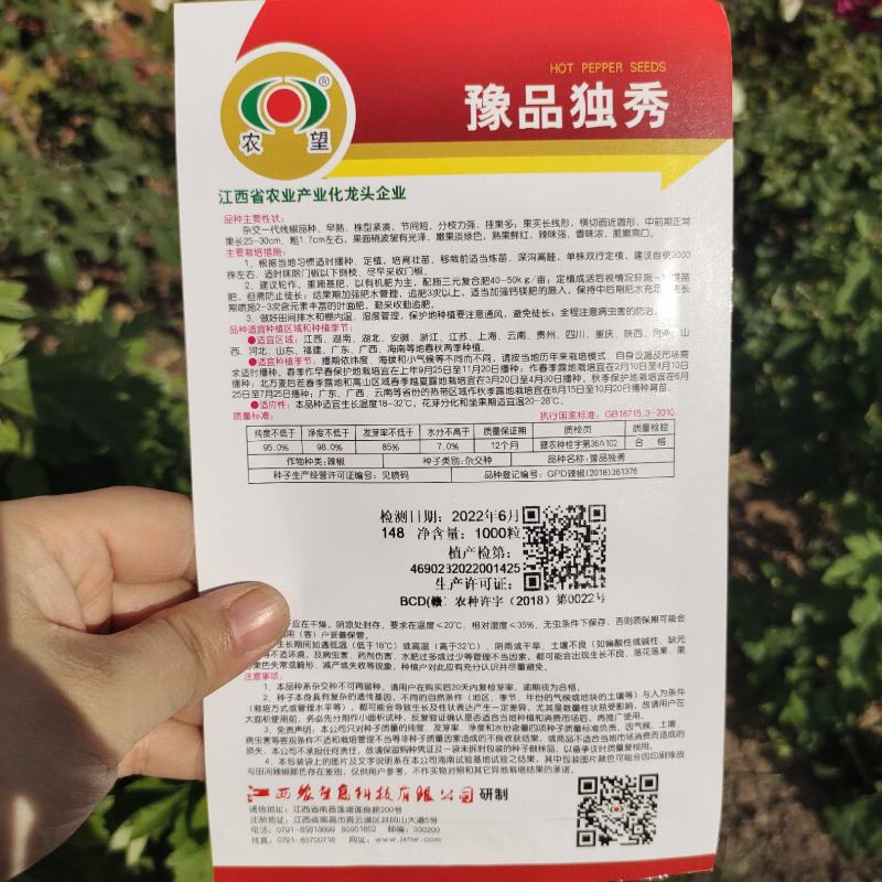 农望豫品独秀辣椒种子杂交长线椒种籽早熟青红两用味辣春秋
