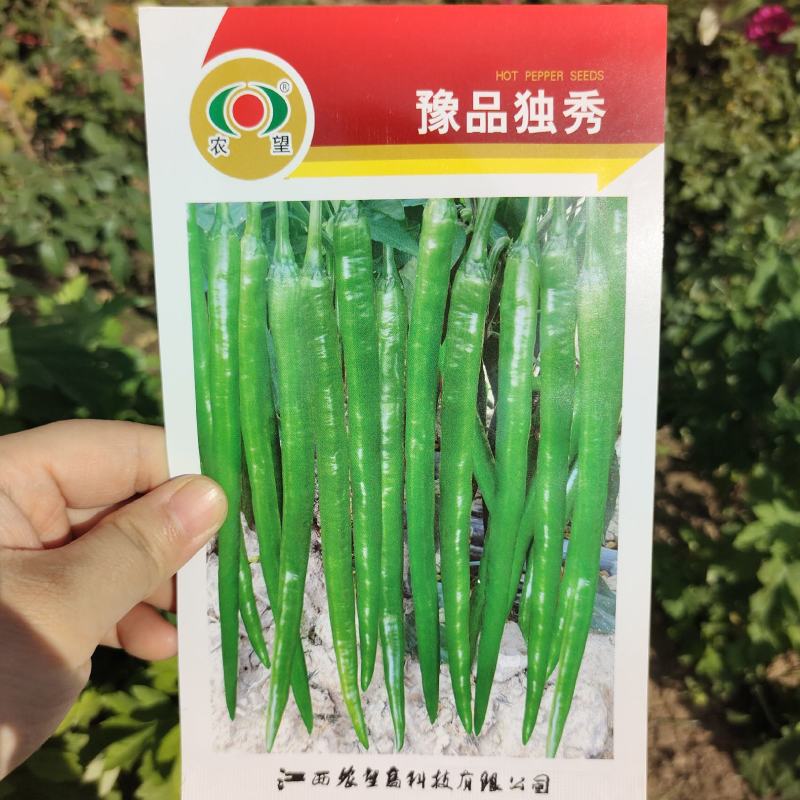 农望豫品独秀辣椒种子杂交长线椒种籽早熟青红两用味辣春秋