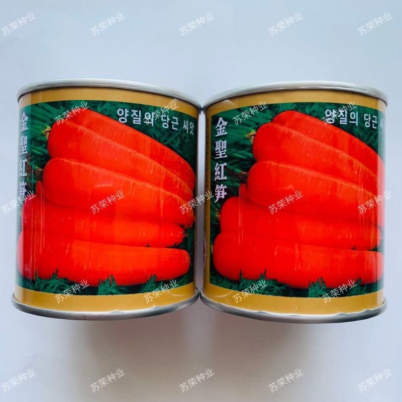 金聖红笋胡萝卜种子高产抗病耐热肉嫩甜脆春秋播胡萝卜