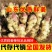 山东红芽鲜姜大量上市销售，代储存代销，品质好，价格便宜