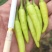 白米椒，野山椒，广西白米椒，批发，一件代发欢迎咨询下单