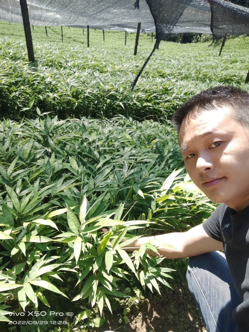 基地直供，没有中间商。