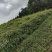 基地直供，没有中间商。