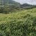 基地直供，没有中间商。
