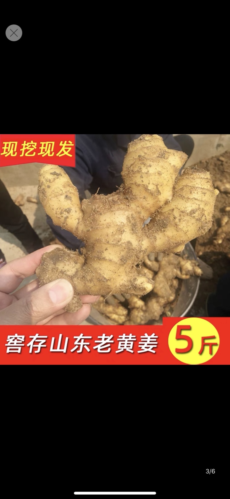 昌邑大姜