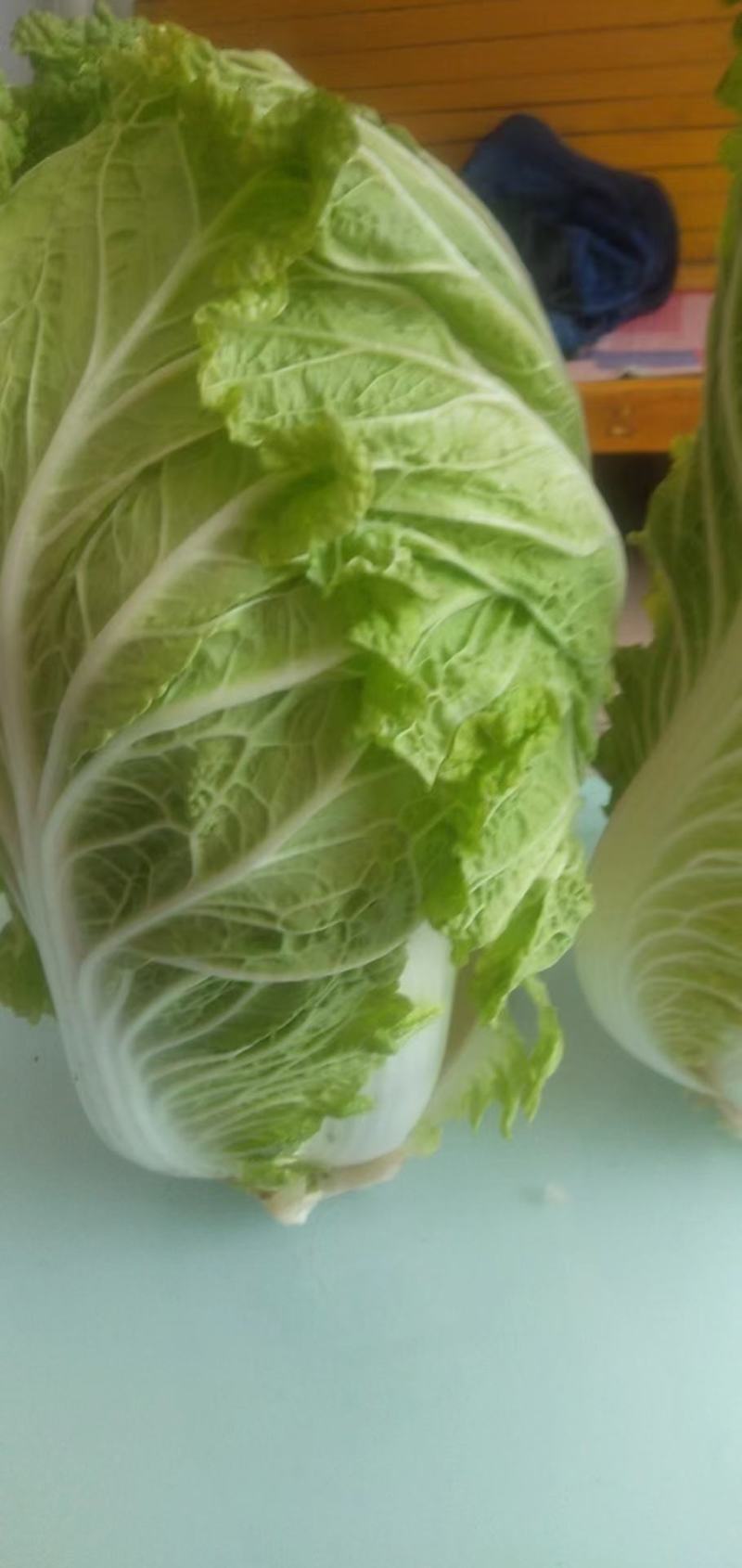 义和秋白菜安丘大白菜冬储白菜商超市场加工厂一件代发