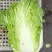 义和秋白菜安丘大白菜冬储白菜商超市场加工厂一件代发