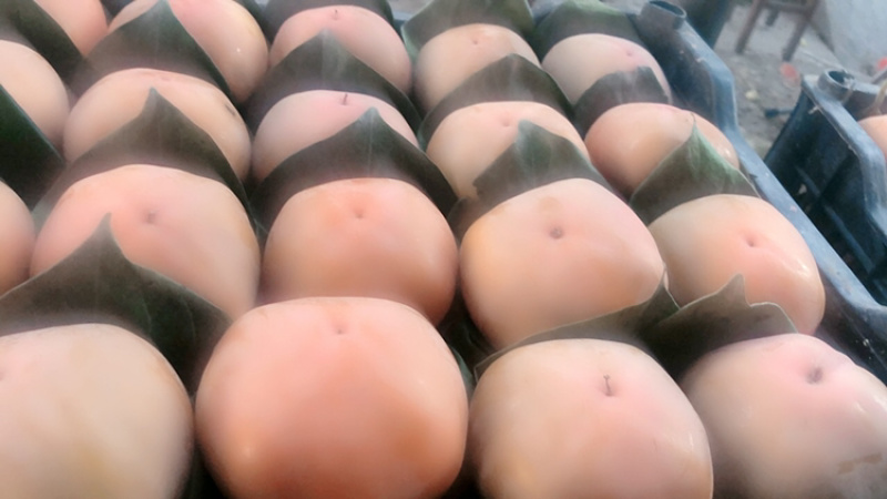 货源充足，价格便宜