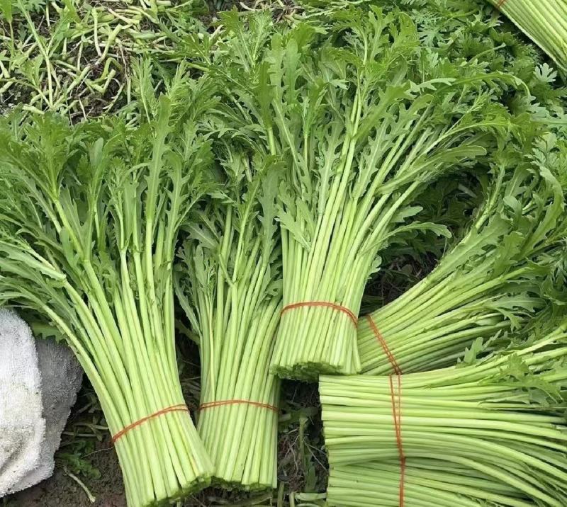 茼蒿，小叶茼蒿产地货源，直接发货，品质保证欢迎各地老板采购