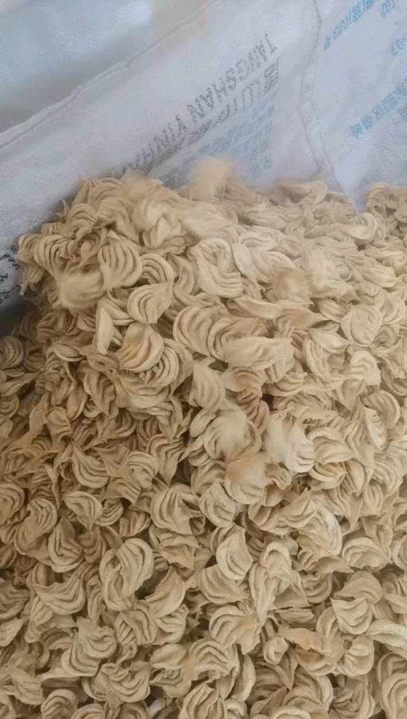 大豆耳。素鸡翅，豆鱼，展销会赶大集，市场批发热销产品