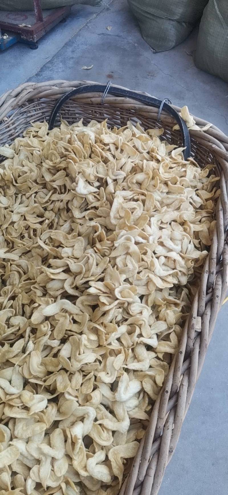 大豆耳。素鸡翅，豆鱼，展销会赶大集，市场批发热销产品